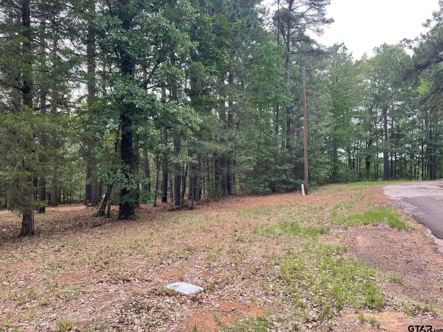 TBD CR 3333, Omaha, TX 75571 - #2