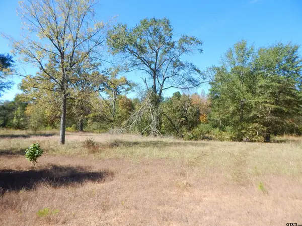 TBD 3.5 ACRES HWY 155, Gilmer, TX 75644