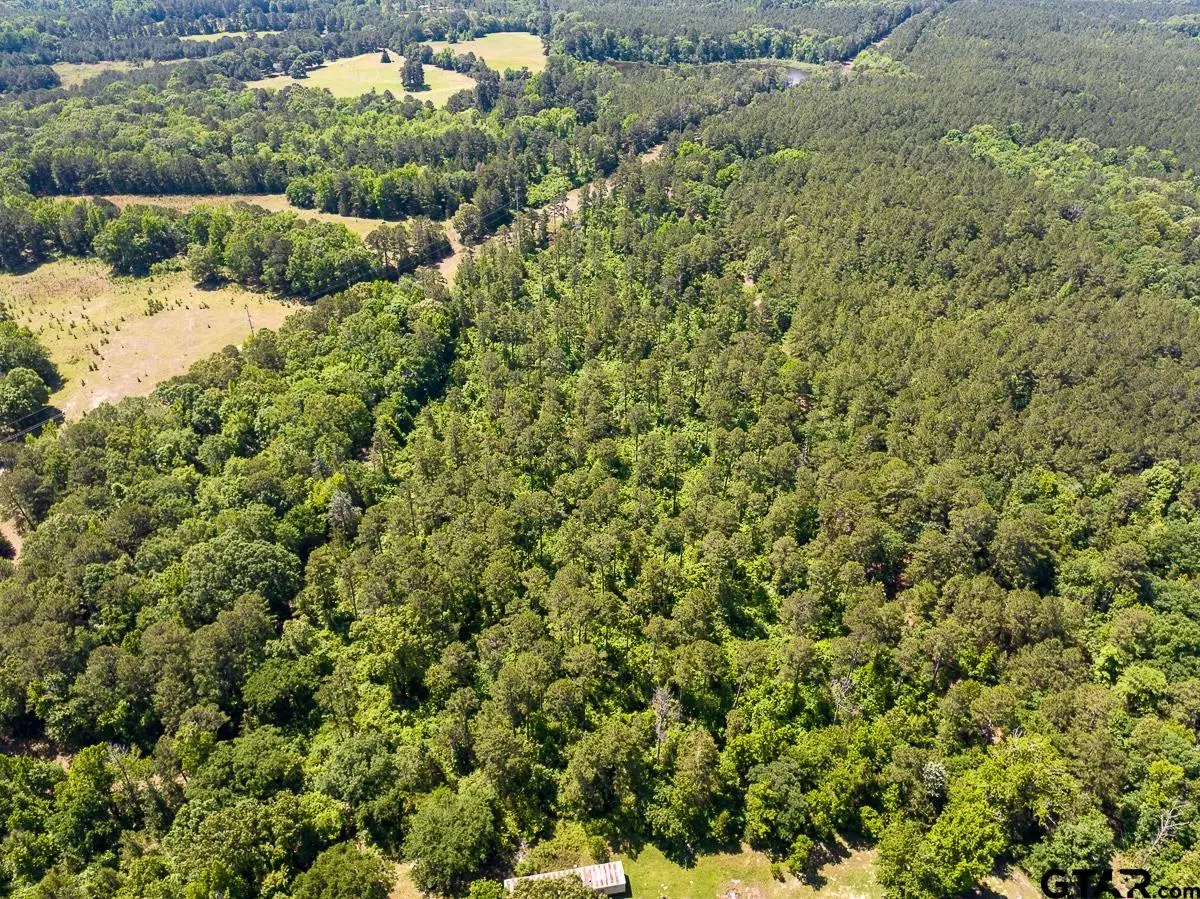 1 County Road 1115, Atlanta, TX 75551 - #1