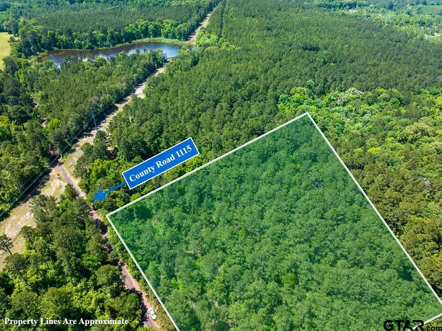 1 County Road 1115, Atlanta, TX 75551 - #3