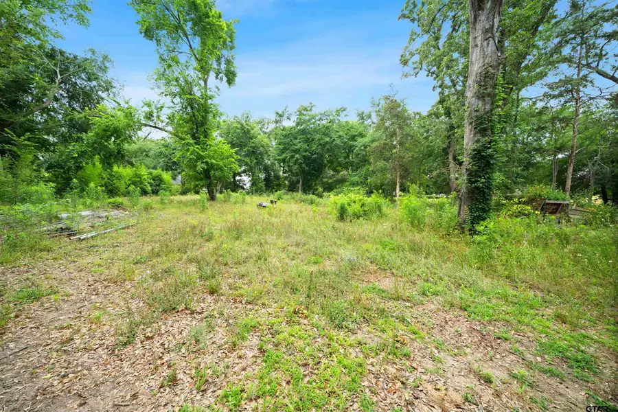 2425 Thompson Ln, Tyler, TX 75701 - #3