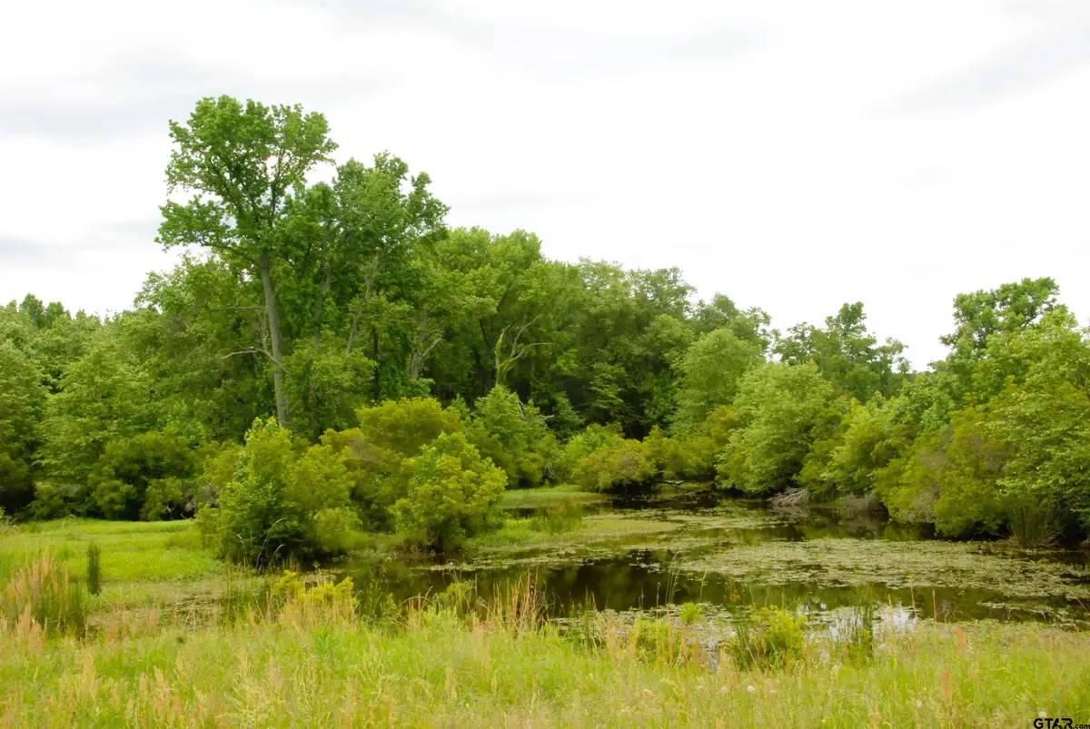 000 FM 857, Grand Saline, TX 75140 - #1