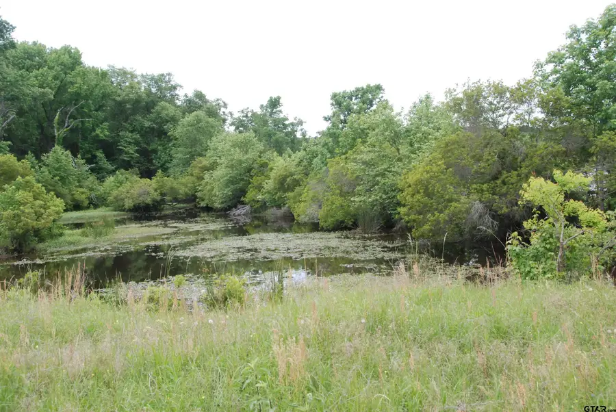 000 FM 857, Grand Saline, TX 75140 - #2
