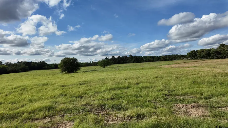 15703 County Road 436, Lindale, TX 75771 - #2