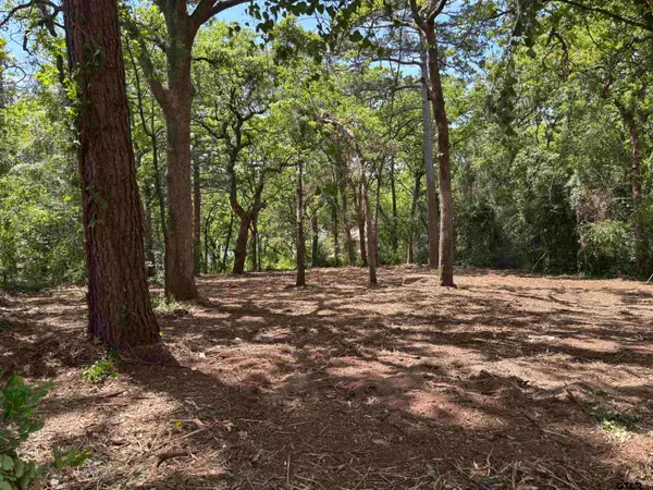 514 Dogwood Ln, Hideaway, TX 75771