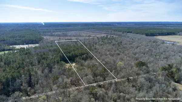 TR5 18.75 Acres County Rd, DeBerry, TX 75639
