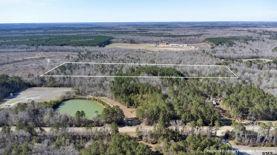 TR5 18.75 Acres County Rd, De Berry, TX 75639 - #3