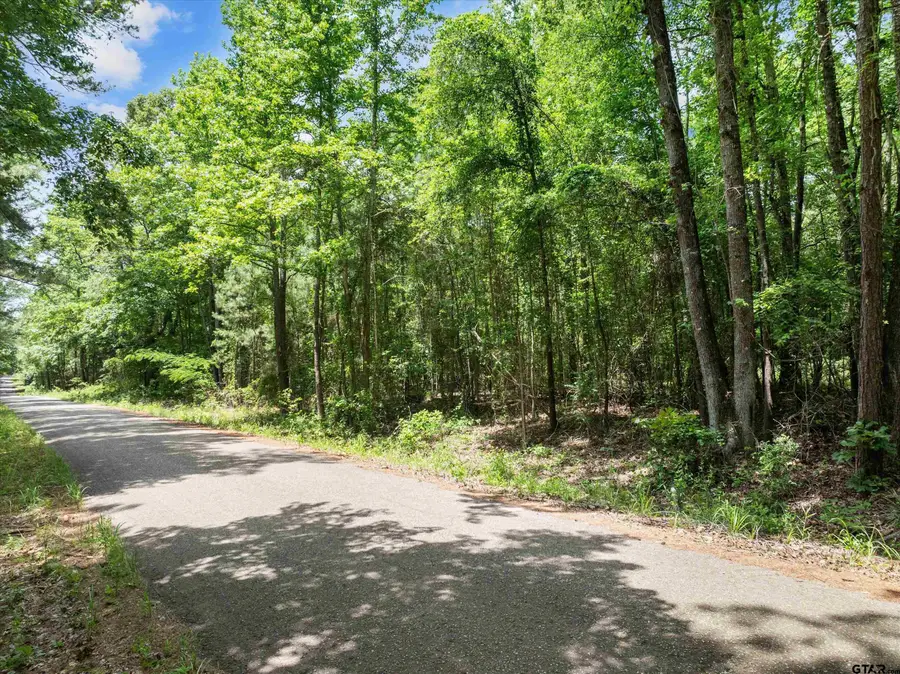 17835 County Road 361, Winona, TX 75792 - #2