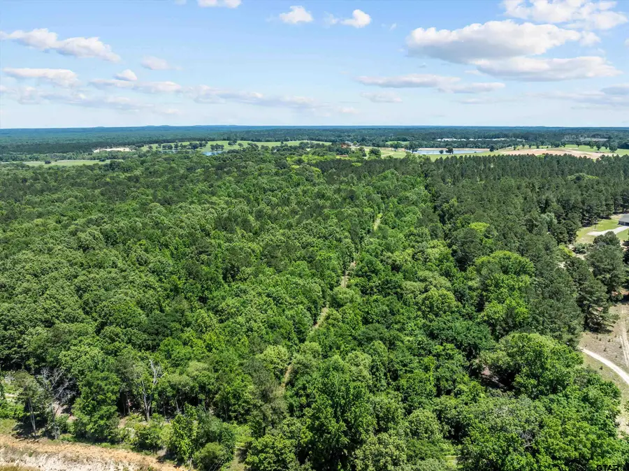 17835 County Road 361, Winona, TX 75792 - #3