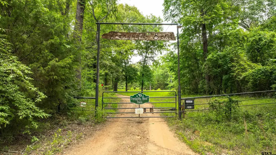 251 Private Road 8179, Ben Wheeler, TX 75754 - #2