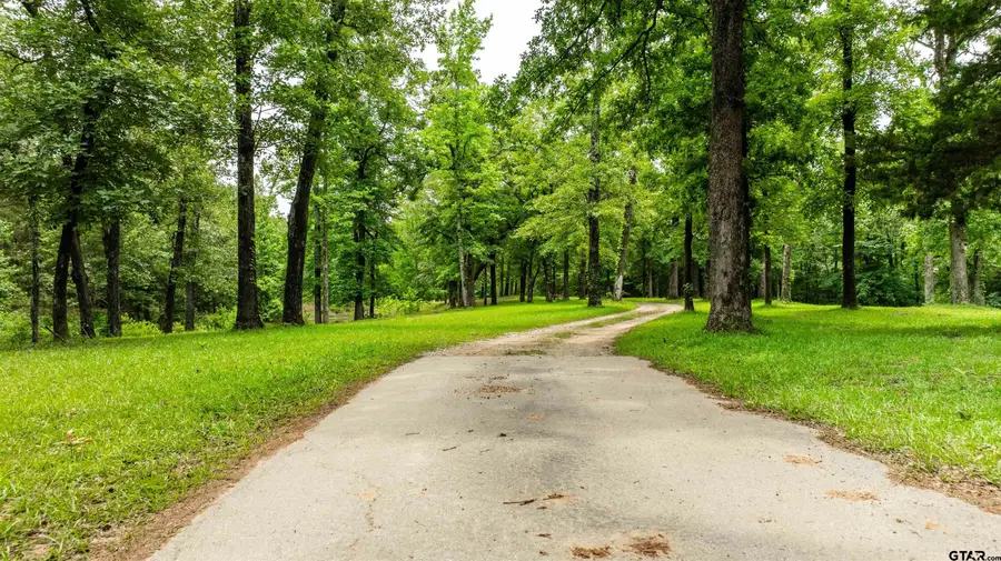 251 Private Road 8179, Ben Wheeler, TX 75754 - #3