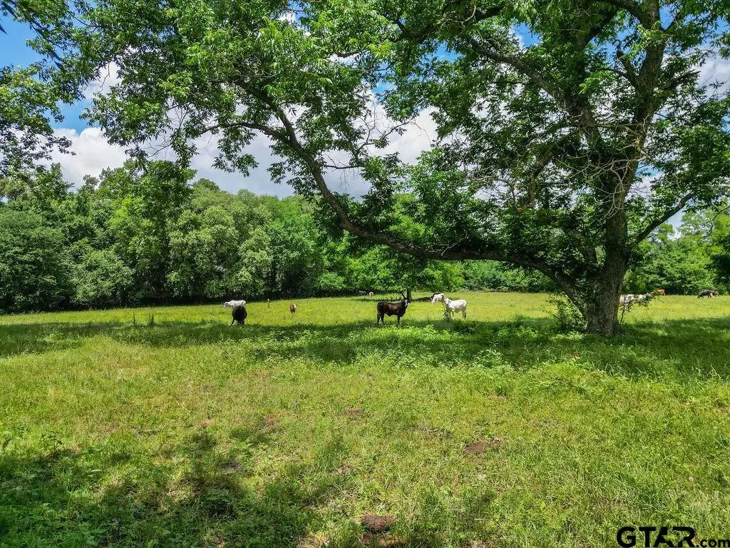 4418 FM 1000, Mount Pleasant, TX 75455 - #1