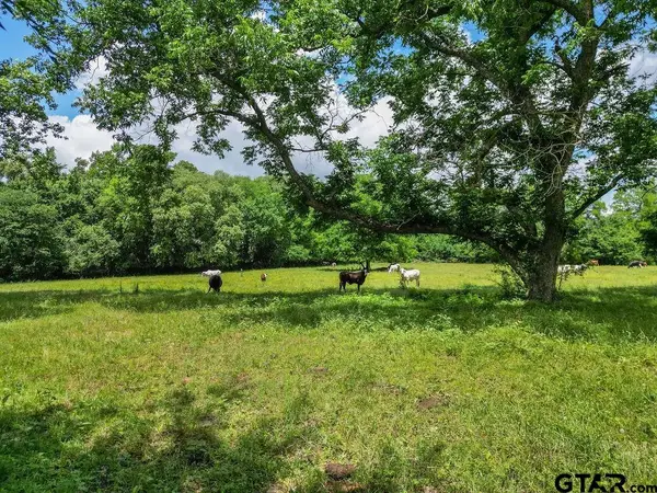 4418 FM 1000, Mt Pleasant, TX 75455