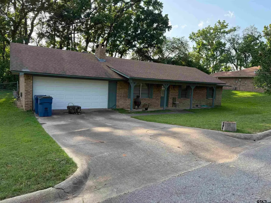 203 N Paradise Dr, Overton, TX 75684 - #2