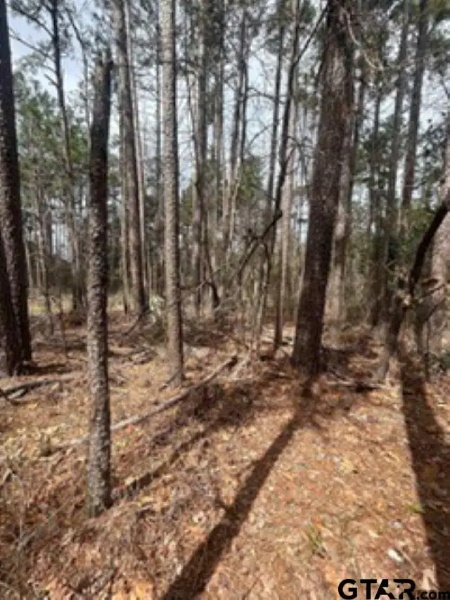 0232 SUNSET TRAIL, Flint, TX 75762 - #2