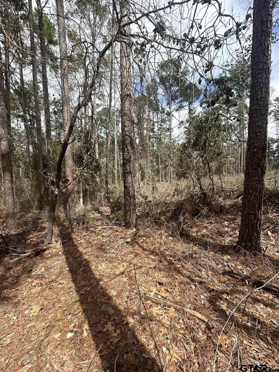 0232 SUNSET TRAIL, Flint, TX 75762 - #3