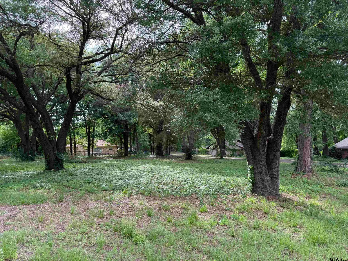TBD Oakleigh Street, Hawkins, TX 75765 - #1