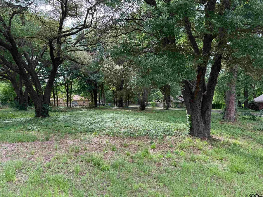 TBD Oakleigh Street, Hawkins, TX 75765 - #2