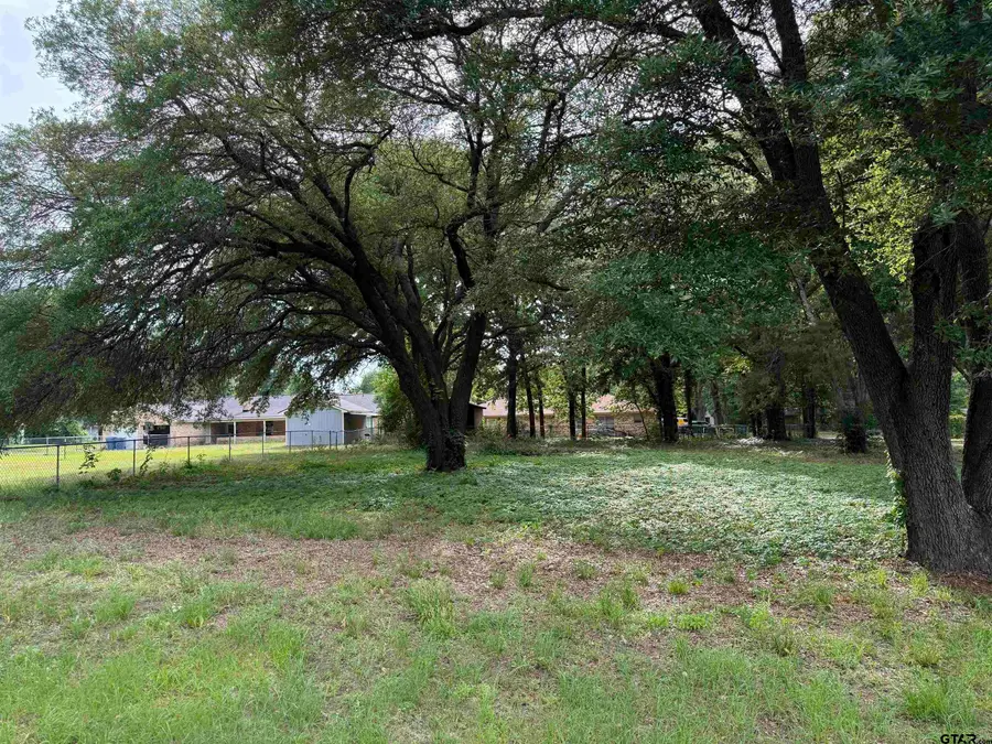 TBD Oakleigh Street, Hawkins, TX 75765 - #3