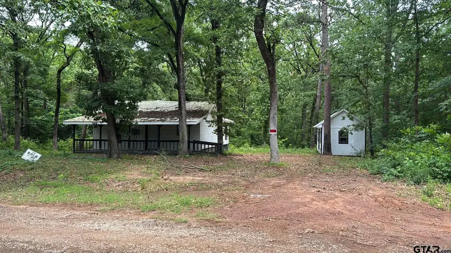 253 DAFFODIL LANE, Mount Vernon, TX 75457 - #2