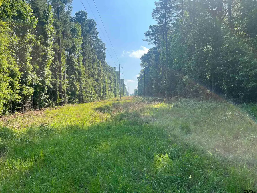 TBD Hwy 135, Troup, TX 75789 - #3