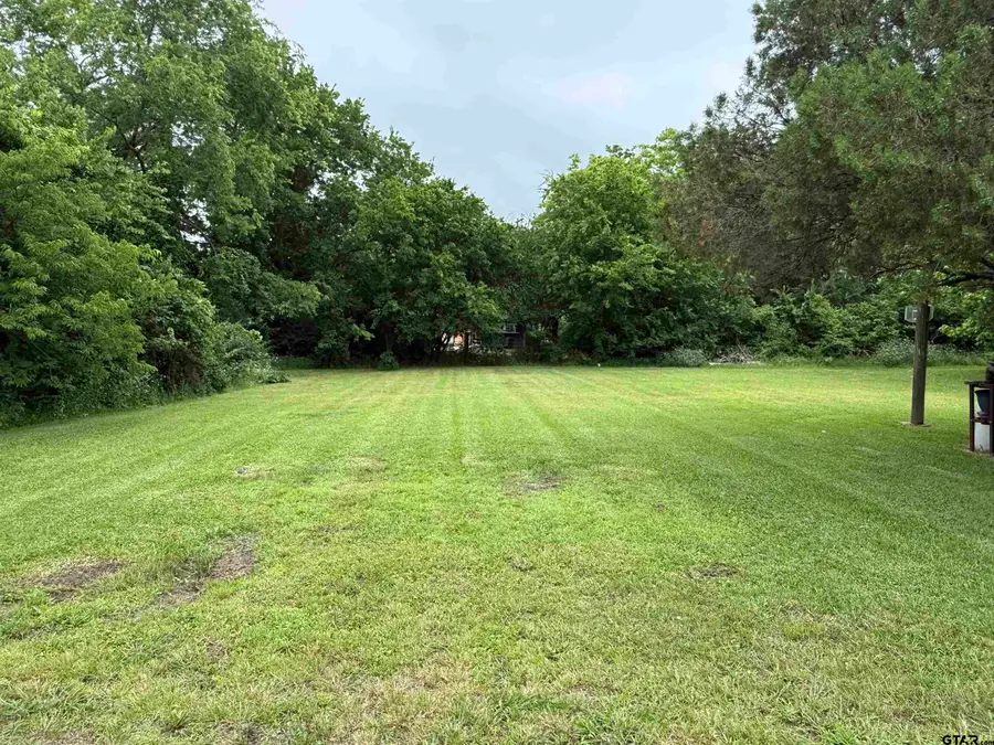704 Lillian St, Wills Point, TX 75169 - #3