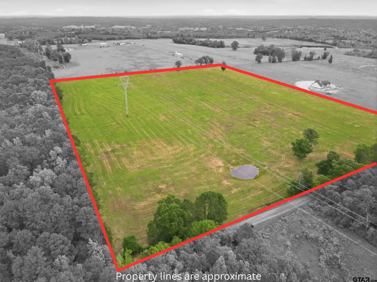 TBD CR 2993B, Hughes Springs, TX 75656 - #1