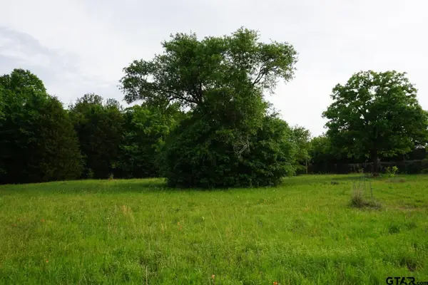 TBD CR 1200, Malakoff, TX 75148