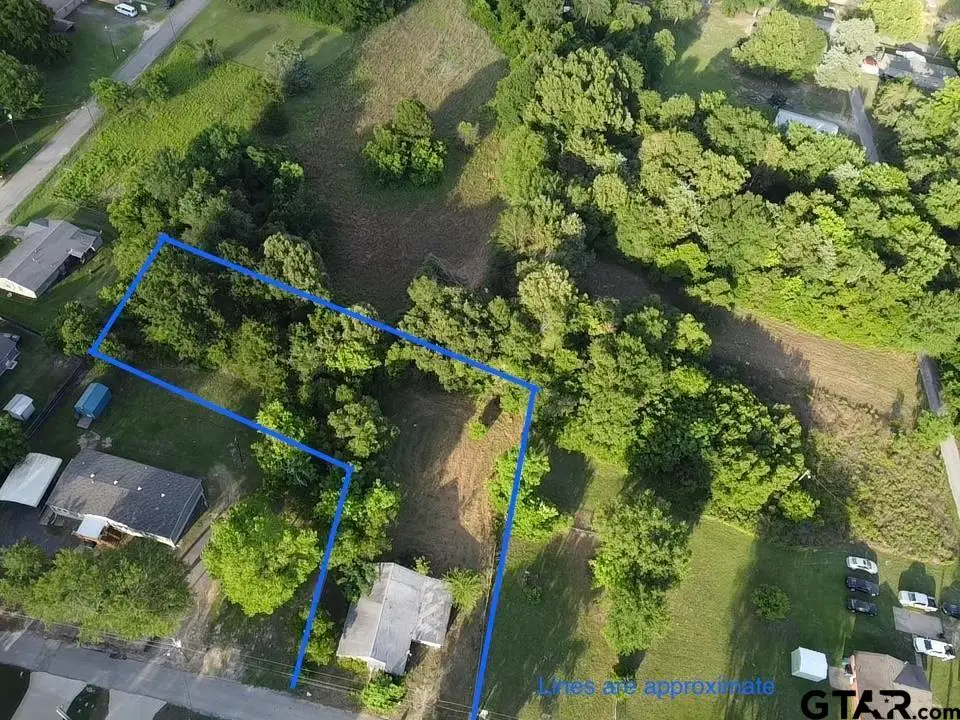 617 Wells St, Mineola, TX 75773 - #1