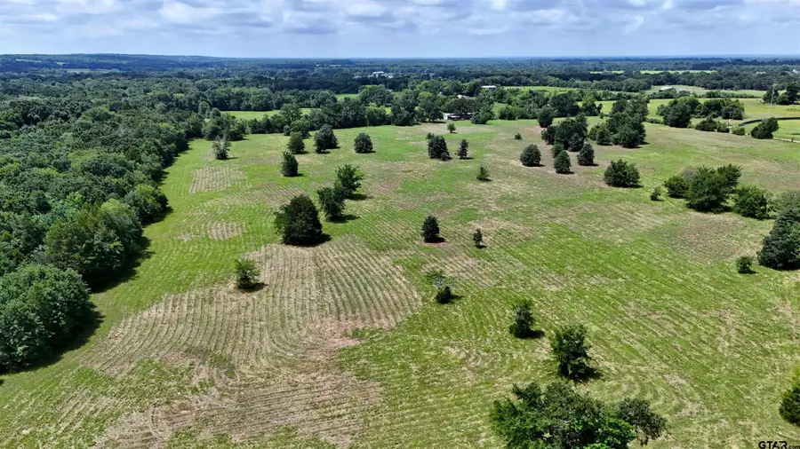 TBD Cr 1119, Cedar Creek Lake, TX 75751 - #2