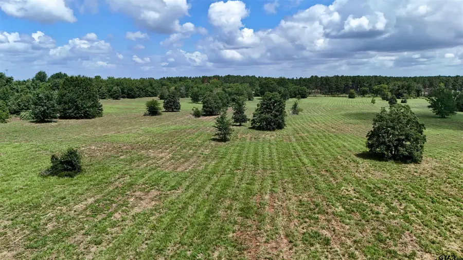 TBD Cr 1119, Cedar Creek Lake, TX 75751 - #3