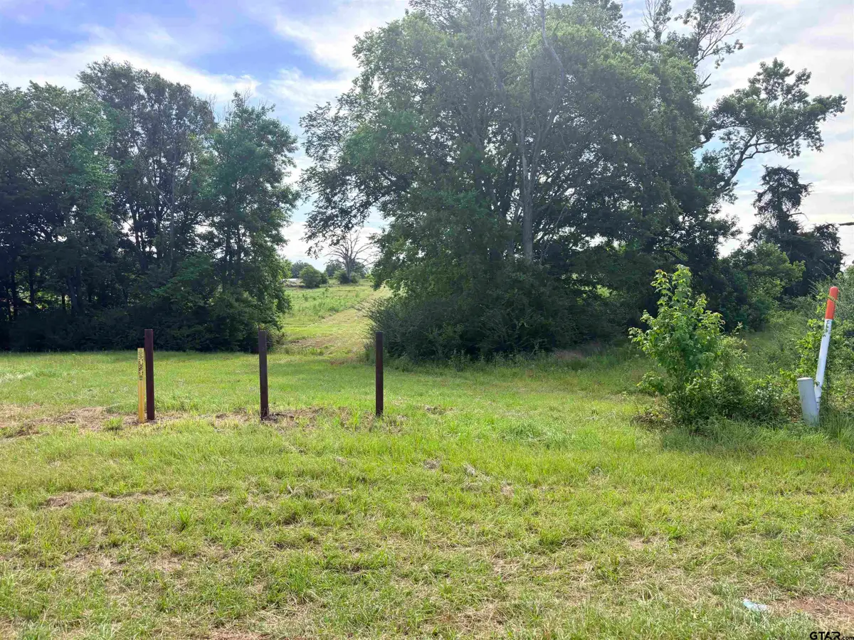 LOT 8 5.5 ACRESCOUNTY ROAD 2166, Troup, TX 75789 - #1