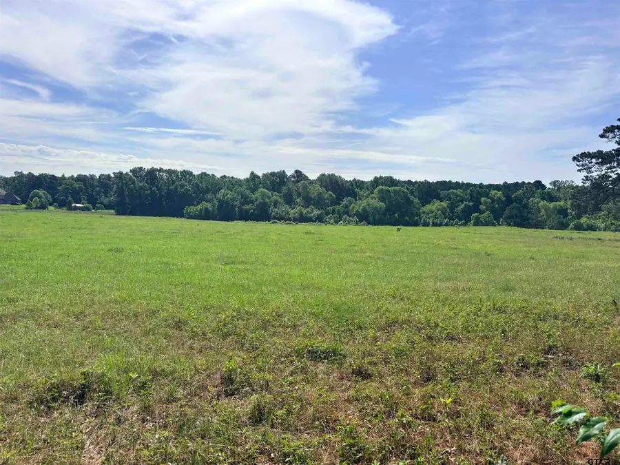 LOT 8 5.5 ACRESCOUNTY ROAD 2166, Troup, TX 75789 - #2