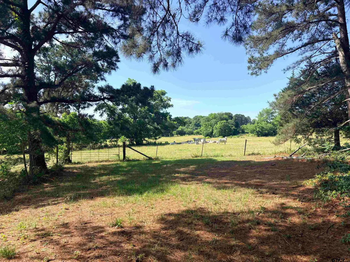 22173 HIGHWAY 135, Troup, TX 75789 - #1