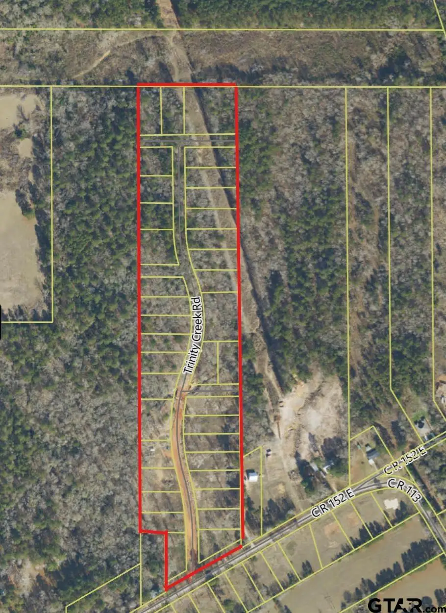 1008-1166 Trinity Creek Rd & Spirit Way, Bullard, TX 75757 - #1