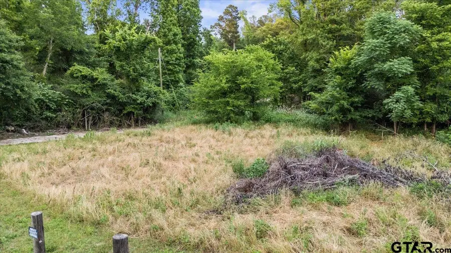 12772 County Road 353, Winona, TX 75792 - #2