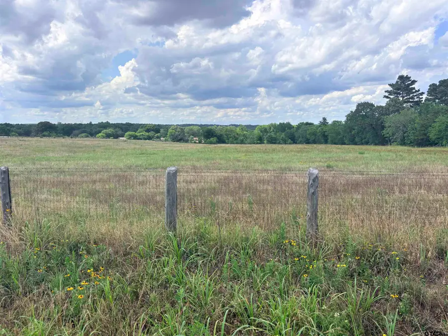 TBD COUNTY ROAD 1140, Tyler, TX 75709 - #3