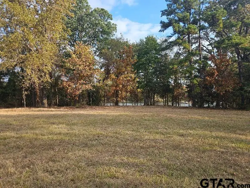 Lot 75 Pr 2712, Mount Pleasant, TX 75455 - #2