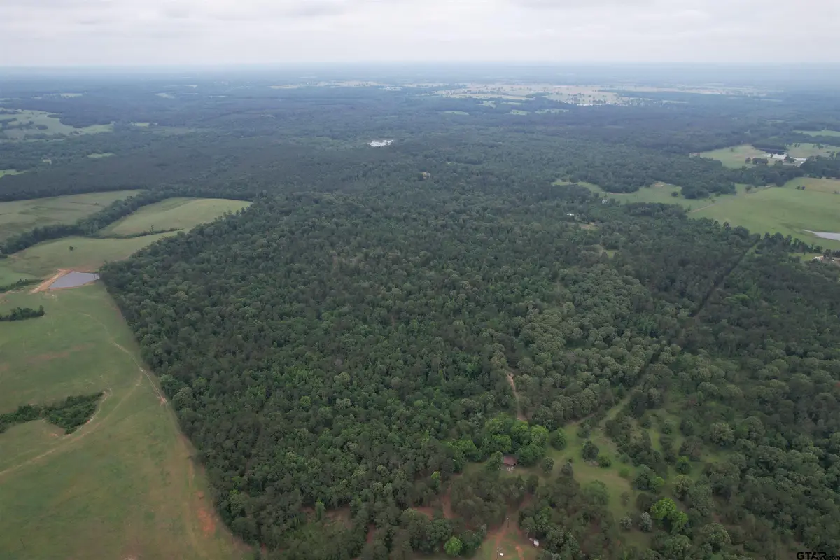 TBD County Road 461, Laneville, TX 75667 - #1