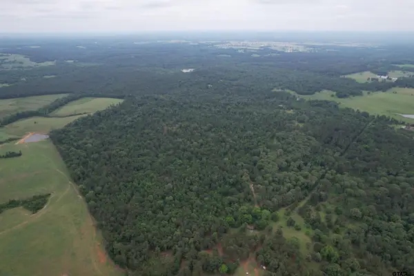 TBD County Road 461, Laneville,  75667