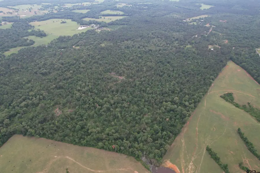 TBD County Road 461, Laneville, TX 75667 - #2