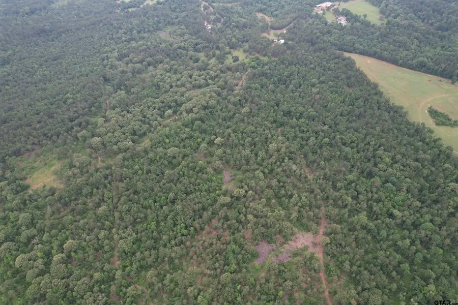 TBD County Road 461, Laneville, TX 75667 - #3