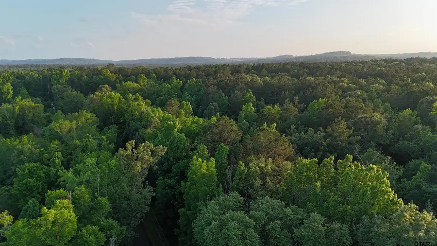 000 County Road 1204, Rusk, TX 75785 - #3