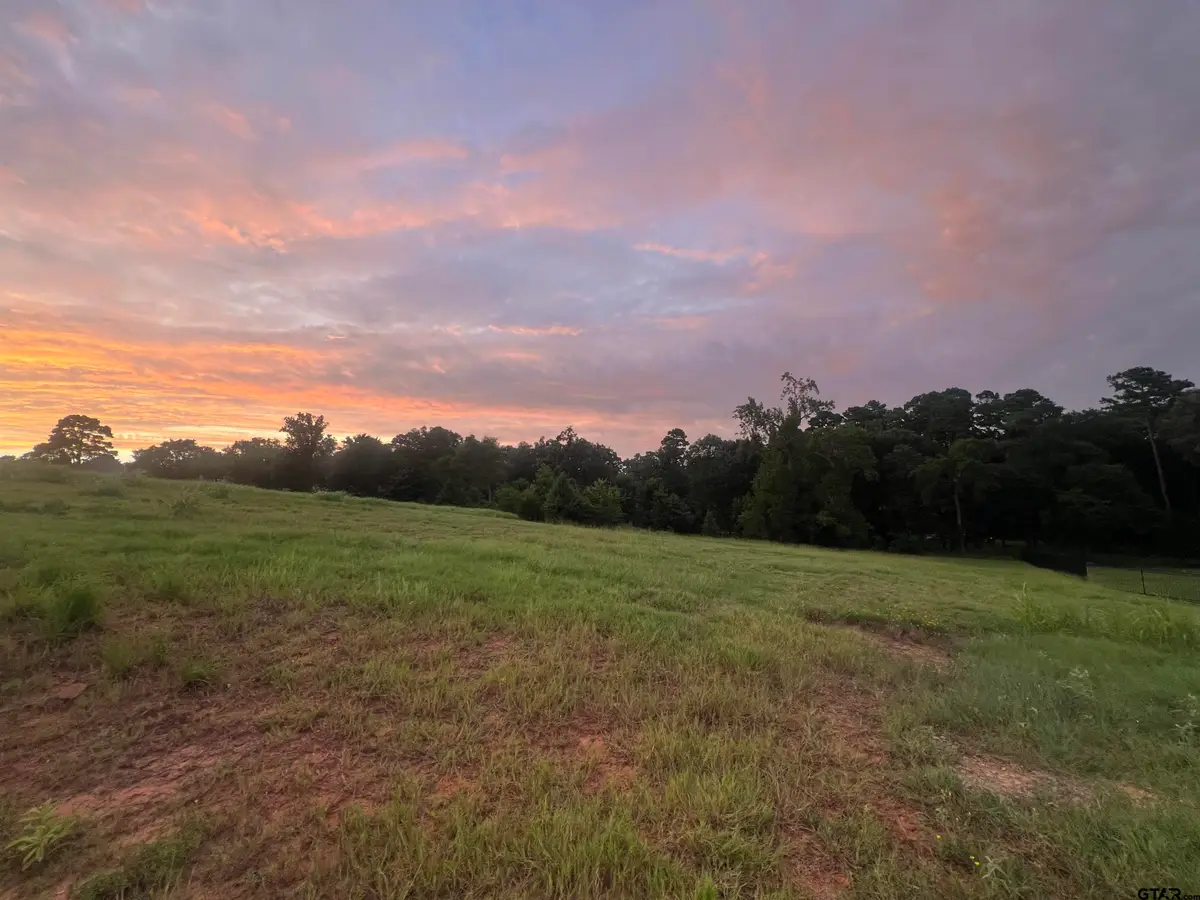 304 Bridle Ridge Ct., Tyler, TX 75703 - #1