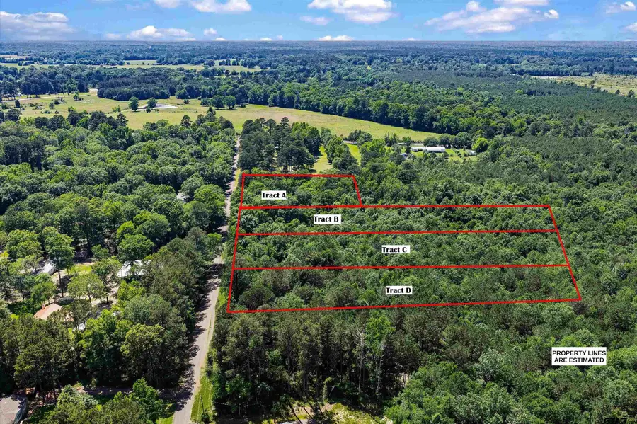 TBD CR 3361 (Tract # A), De Berry, TX 75639 - #2