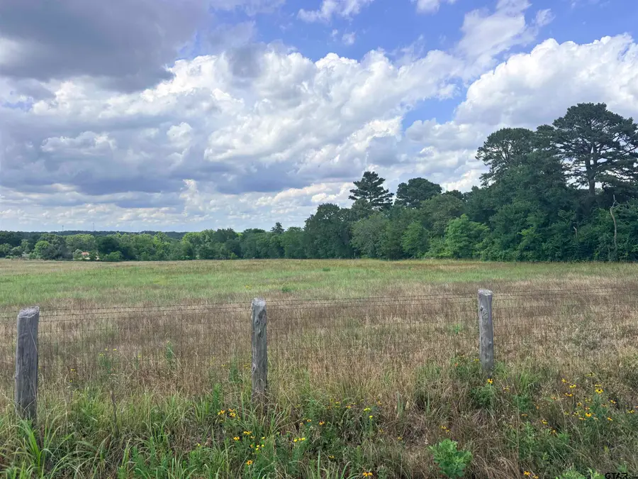 TBD COUNTY ROAD 1140, Tyler, TX 75709 - #3