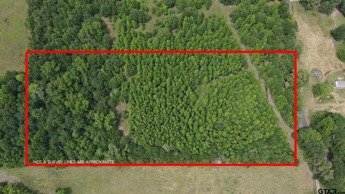 TBD County Road 2324, Como, TX 75431 - #1