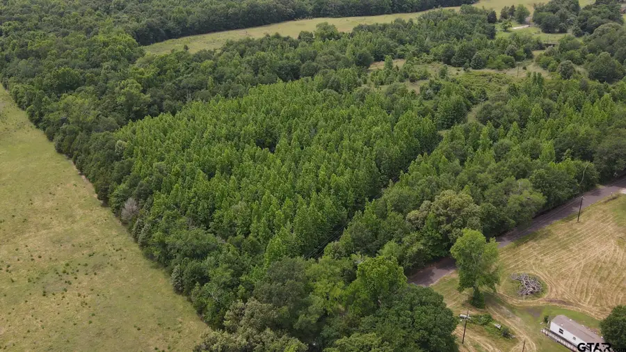 TBD County Road 2324, Como, TX 75431 - #2