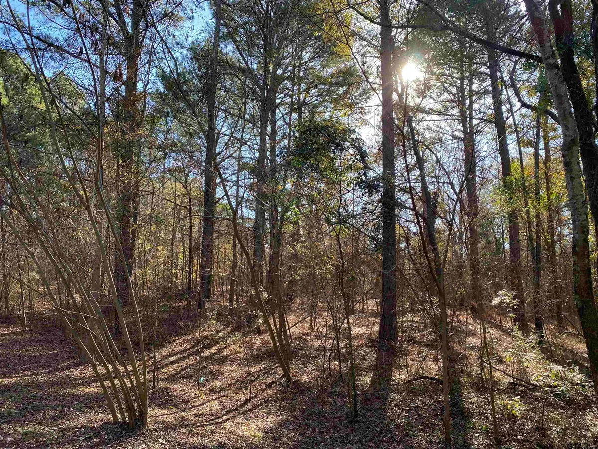 Lot 11 Carene, Frankston, TX 75763 - #1