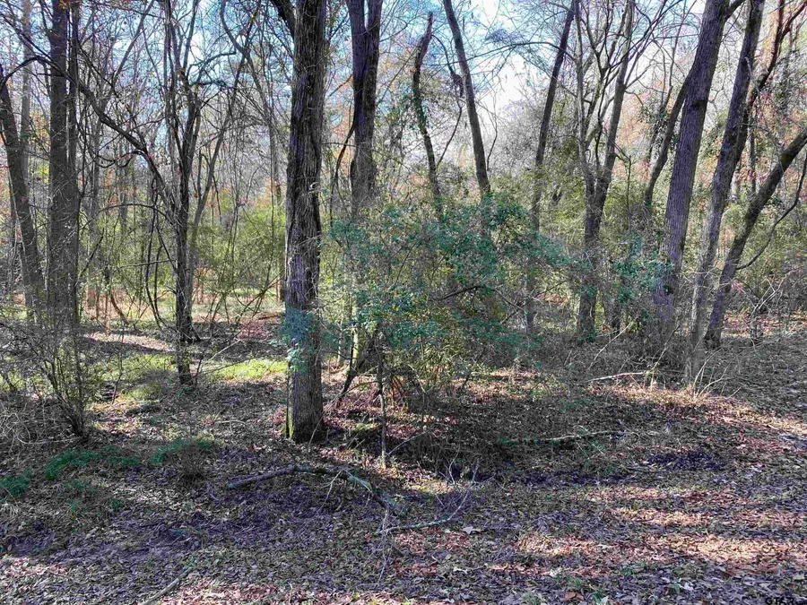 Lot 11 Carene, Frankston, TX 75763 - #2